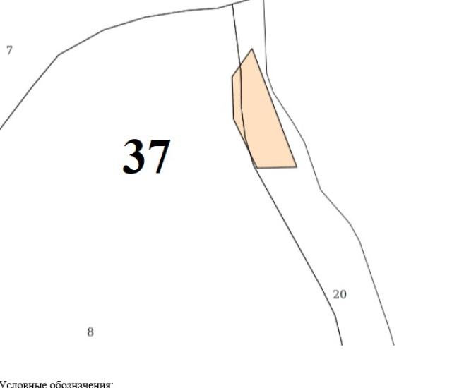 Лот 4032233